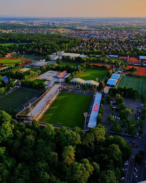 欧洲杯的强 欧洲杯的强